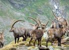 Alpen&uuml;berquerung E5 mit Kindern, Familienreise