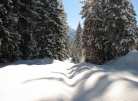 Wanderurlaub im Winter