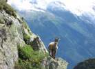 Wanderreise Schweiz