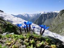 Bassler Joch, 7-tägige geführte Trekkingtour mit Gepäcktransport, Tirol