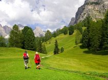 Wanderer, 7-tägige geführte Trekkingtour, Südtirol
