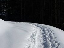 Schneeschuhtour, 8-tägige individuelle Winterreise, Allgäu