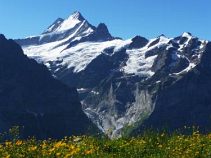 Gletscherblick, Reise: Schweizer Alpenüberquerung - Vom Bodensee zum Lago Maggiore