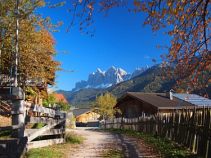 Herbst, 8-tägige individuelle Radreise mit Gepäcktransport, Südtirol