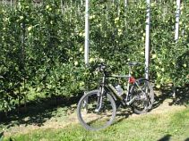 Radtour, Reise: Der Alpe-Adria Radweg individuell: Von Salzburg nach Grado