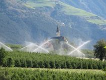 Obstplantagen, Reise: Meran gemütlich erwandern