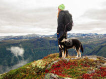 Wanderreisen mit Hund / Wandern mit Hund
