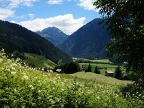 Almwiesen, 7-tägige geführte Alpenüberquerung, Alpenüberquerung