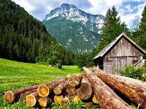 Holz vor der Hütte, Allgäureise Nr. 720010
