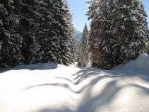 Winterlandschaft, 3-tägiger Skitourenkurs für Einsteiger, Allgäu