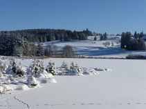 See, 4-tägige geführte Winterreise, Allgäu