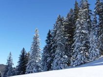 Winterlandschaft, Tirolreise