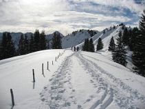 Schneeschuhtour, Alpenüberquerungreise