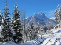 Winterlandschaft, Reise: Auf Schneeschuhen durchs Oberallgäu