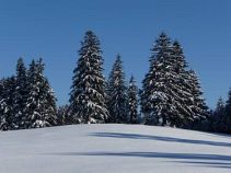 Winterlandschaft, Reise: Langlauf am Dachsteinmassiv individuell