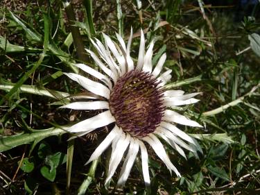 Naturverträglich in den Bergen
